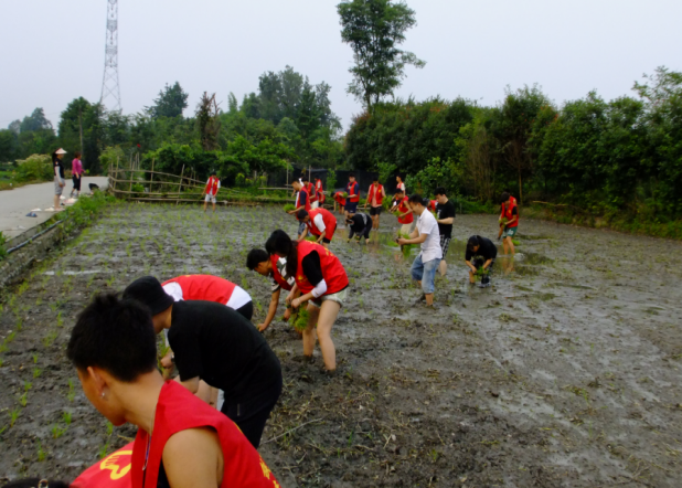 图片3.png 图片3.png