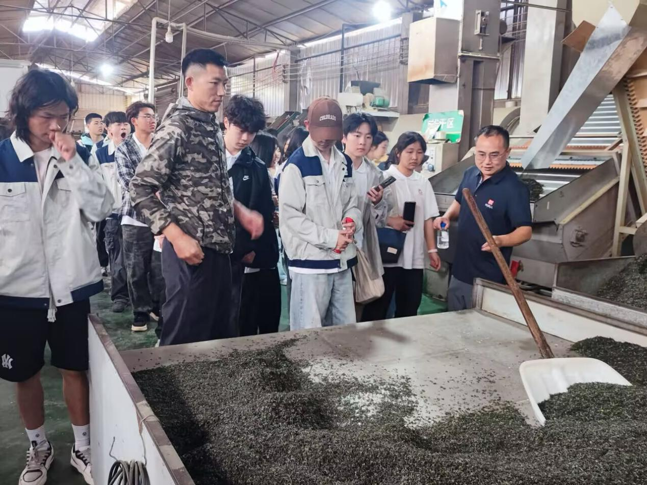 图片5.png 图片5.png