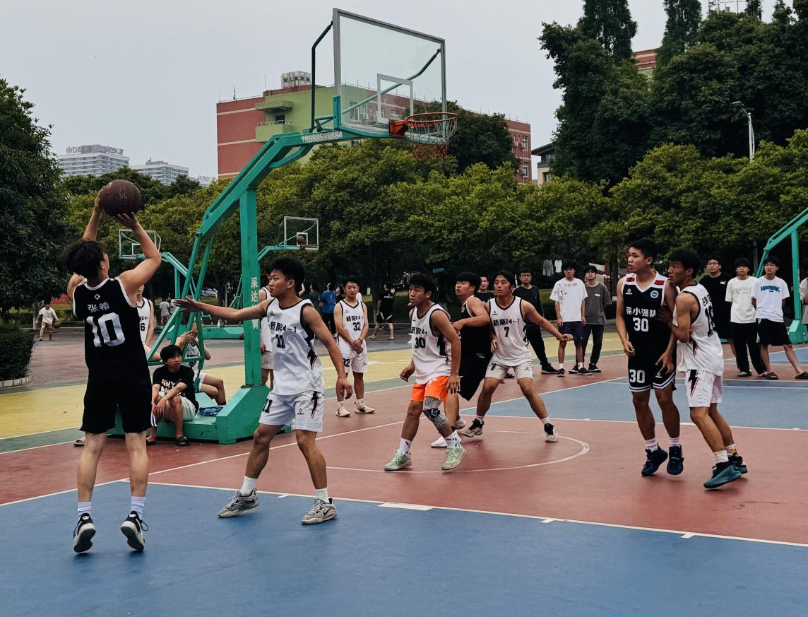 图片3.png 图片3.png